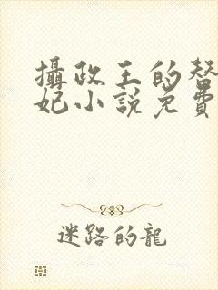 摄政王的替嫁王妃小说免费阅读