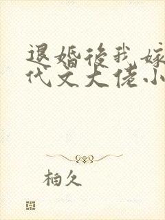 退婚后我嫁给年代文大佬小说