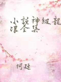 小说神级龙卫沈浪全集