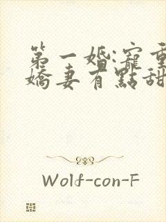 第一婚:宠重生娇妻有点甜