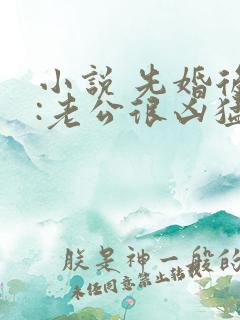 小说 先婚后爱:老公很凶猛