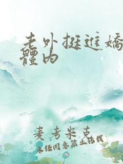 老外挺进娇妻的体内