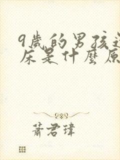 9岁的男孩还尿床是什么原因