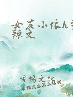 女友小依h系列辣文