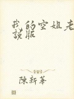 我的空姐老婆小说版