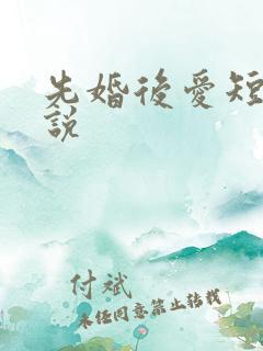 先婚后爱短篇小说