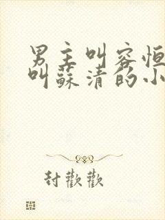 男主叫容恒女主叫苏清的小说