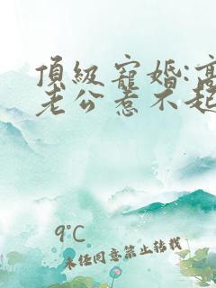 顶级宠婚:高冷老公惹不起