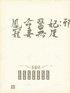 凤命医妃:邪王宠妻无度