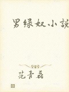 男绿奴小说