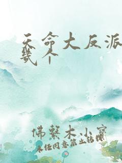 天命大反派女主几个