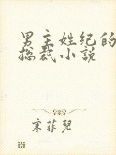 男主姓纪的霸道总裁小说