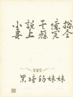 小说千亿总裁宠妻上瘾完全版