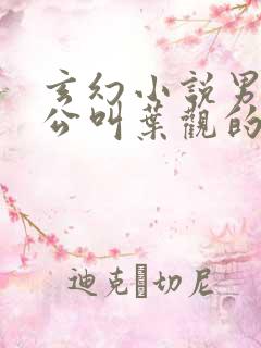 玄幻小说男主人公叫叶观的小说