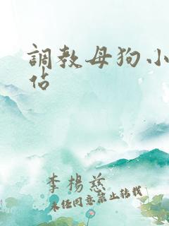 调教母狗小说网站