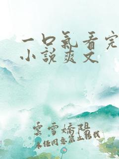 一口气看完系列小说爽文