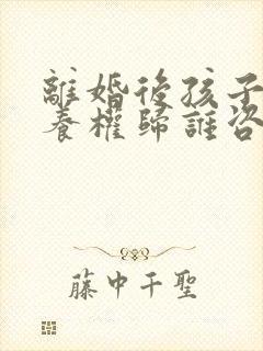 离婚后孩子的抚养权归谁咨询一下