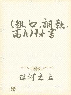 (粗口,调教,高h)秘书