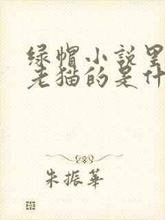 绿帽小说里边有老猫的是什么小说