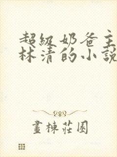 超级奶爸主角叫林清的小说