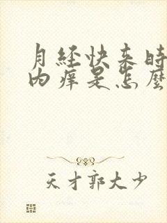 月经快来时阴部内痒是怎么回事?