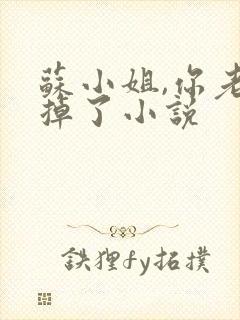 苏小姐,你老公掉了小说