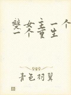 双女主一个穿越一个重生