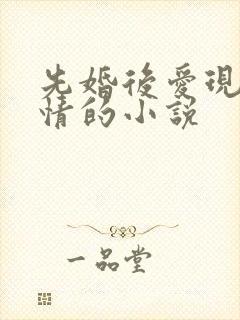 先婚后爱现代言情的小说