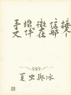 手机微信接收的文件在哪个目录