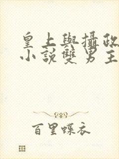 皇上与摄政王的小说双男主