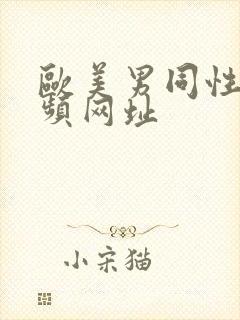 欧美男同性恋视频网址