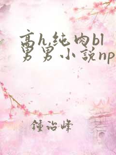 高h,纯肉bl男男小说np