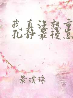 我真没想重生啊孔静最后怎么样了