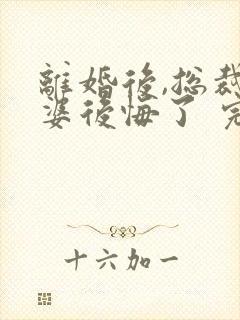 离婚后,总裁老婆后悔了 完结版