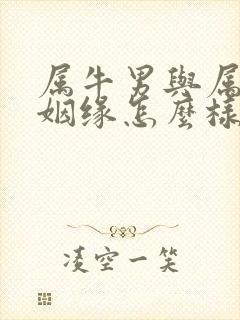 属牛男与属猴女姻缘怎么样