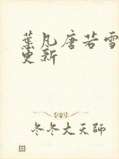 叶凡唐若雪王婿更新