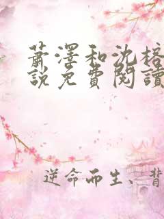 萧泽和沈榕宁小说免费阅读