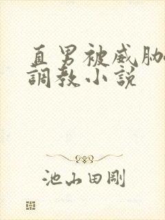 直男被威胁玩弄调教小说