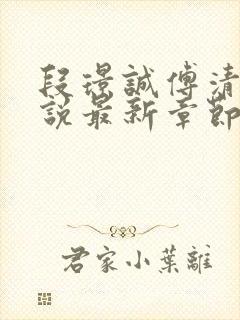 段璟诚傅清染小说最新章节免费阅读