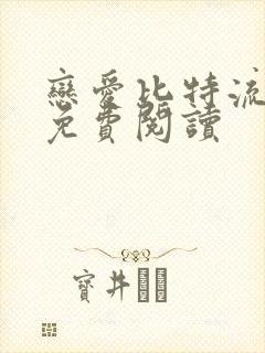 恋爱比特流小说免费阅读