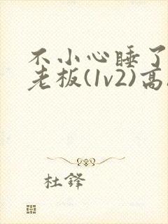 不小心睡了男友老板(1v2)高h