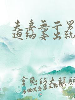 夫妻无子男主被迫纳妾出轨的小说