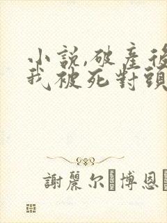 小说,破产后,我被死对头宠上天