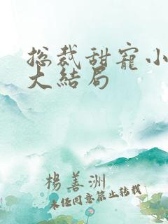 总裁甜宠小娇妻大结局