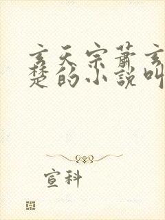 玄天宗萧玄沈幼楚的小说叫什么