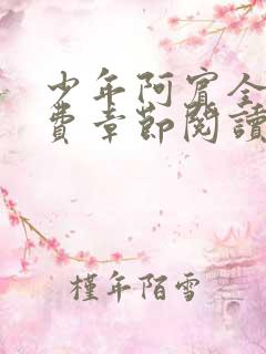 少年阿宾全文免费章节阅读