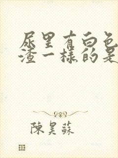 尿里有白色豆腐渣一样的是什么