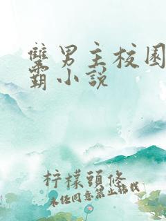 双男主校园双学霸小说