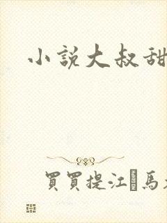 小说大叔甜宠文