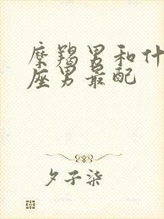 摩羯男和什么星座男最配